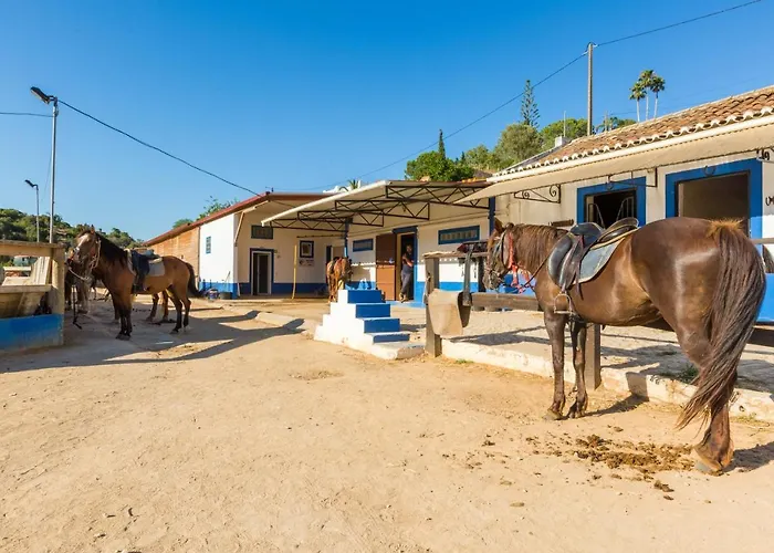 Casa Bela Vista - Fantastic Sea View * Albufeira