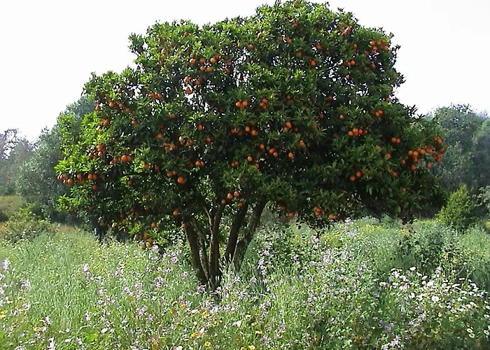 Casa de Férias Casa Bela Vista - Fantastic Sea View