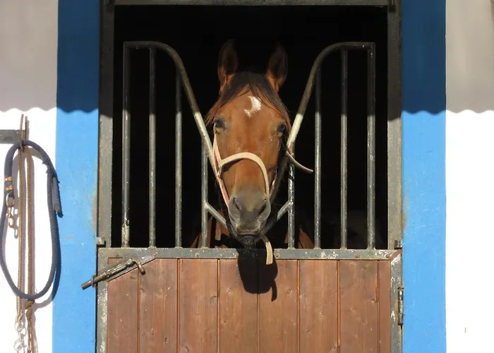 Casa Bela Vista - Fantastic Sea View *