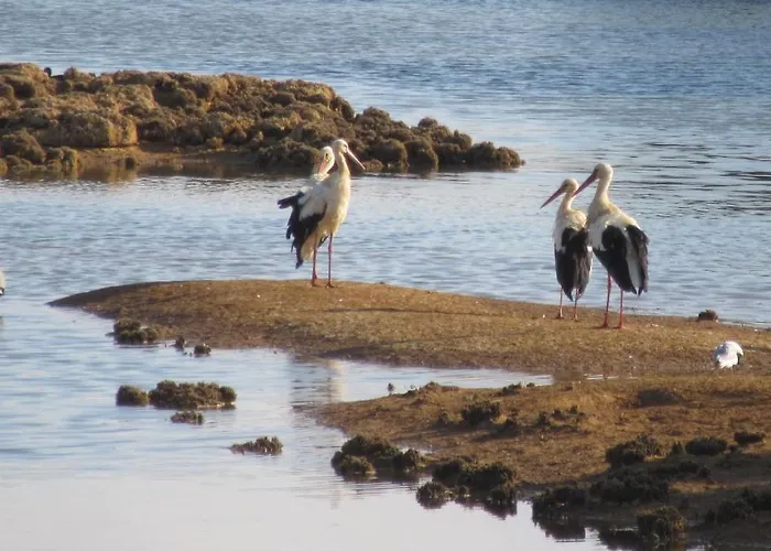 Casa Bela Vista - Fantastic Sea View * Albufeira