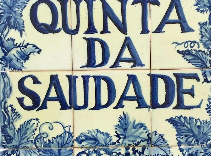 Casa vacanze Casa Bela Vista - Fantastic Sea View